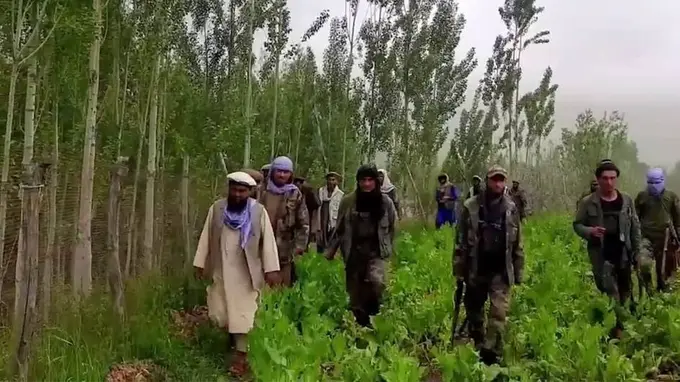 Afg‘onistonning Badaxshon viloyatida “Tolibon”ga qarshi shiddatli janglar avj oldi