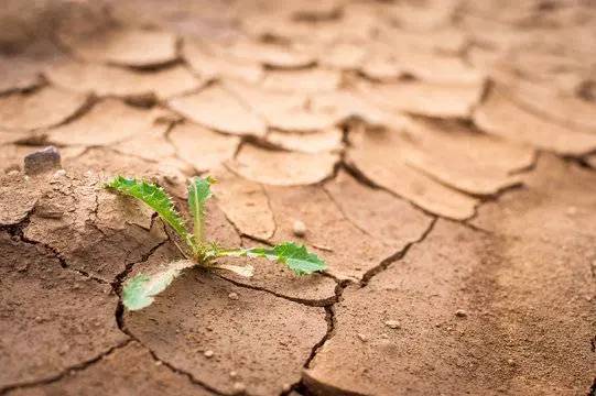 Drought degrades over 20% of Central Asia's land, UN says