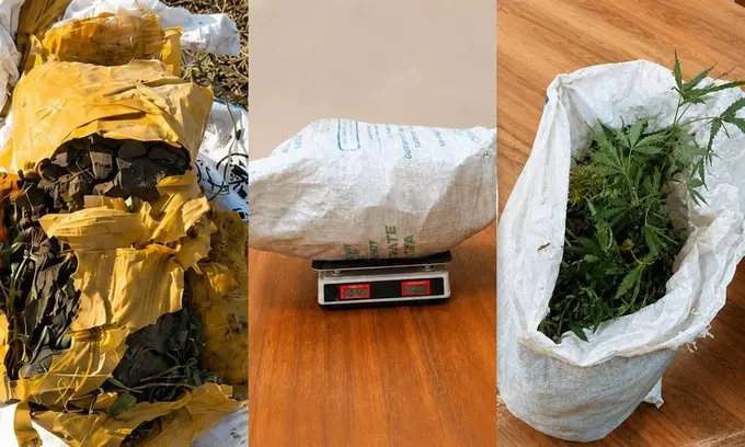 Surxondaryodagi dalada 4 kilo narkotik qoldirib ketilgani aniqlandi