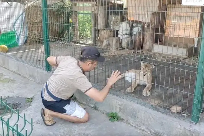 Rossiyada silovsinni bezovta qilgan o‘zbekistonlik erkak jarimaga tortildi (video)
