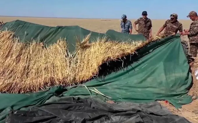 Navoiyda kovrakni noqonuniy yig‘ish oqibatida tabiatga 3 mlrd so‘m zarar yetkazildi