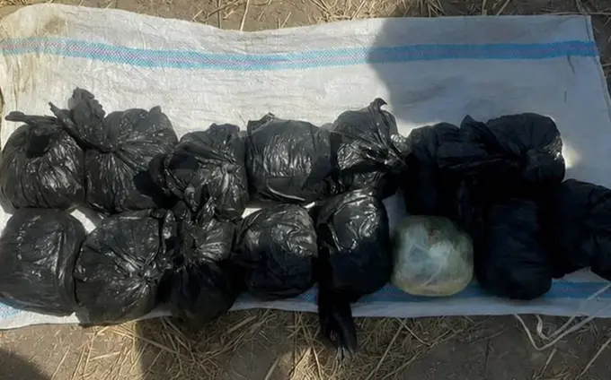 Жиззахда хуфиёна яширилган 13,6 кило опий топилди