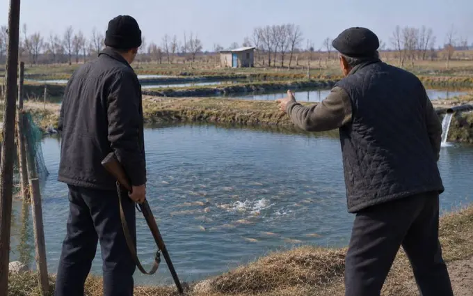 Samarqandda suv talashib akasini otib o‘ldirgan 58 yoshli erkak 10 yilga qamaldi