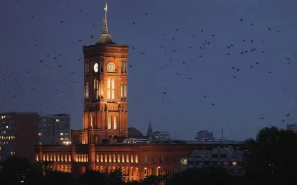 Hakerlar Berlinning dronlarga nisbatan zaif tomonlari ko‘rsatilgan maxfiy hujjatlarni qo‘lga kiritdi — OAV