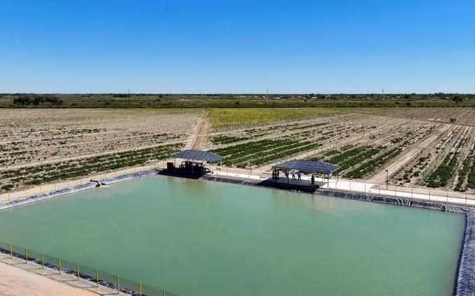 Uzbekistan plans 10,000 hectares of intensive orchards across Karakalpakstan