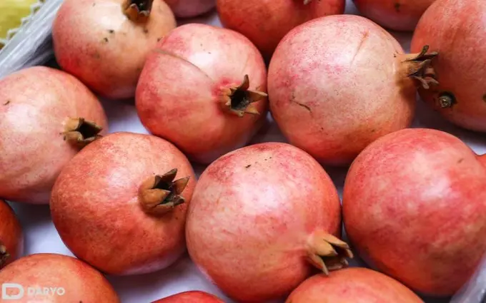 Uzbekistan secures access to India for pomegranate and chili pepper exports