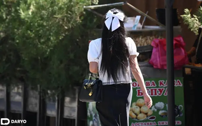 Uzbekistan allocates $6.4mn for women’s master’s tuition subsidies