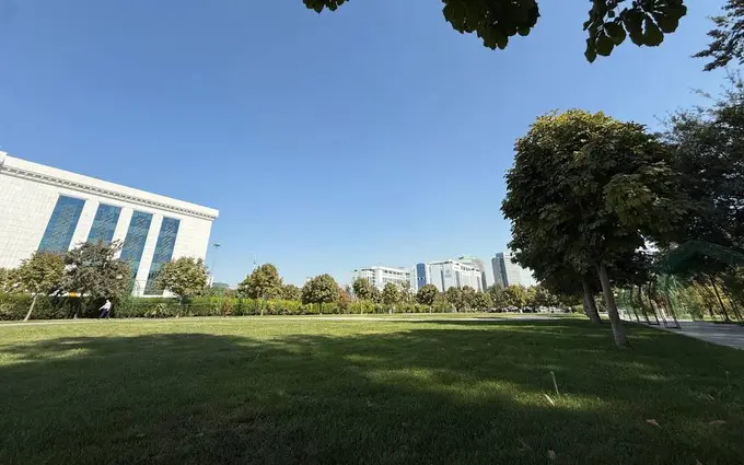 Toshkentdagi yashil hududlar qisqarishiga yo‘l qo‘yilmasligi kerak — Urbanizatsiya milliy qo‘mitasi