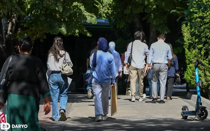 O‘zbekistonning turli hududlarida qaysi kasb va mutaxassisliklarga talab yuqoriligi aniqlandi
