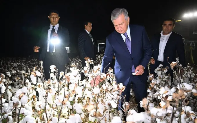 Uzbekistan tests Xinjiang cotton cultivation technology at Agrocluster Oltinkul