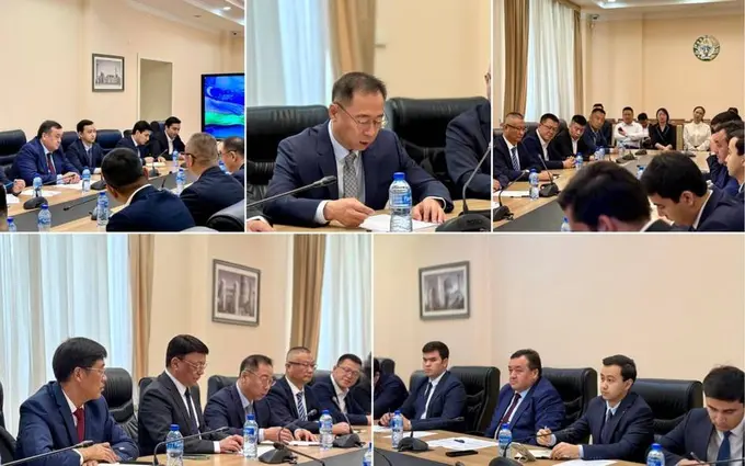 Uzbekistan, Xinjiang businesses discuss investment projects in healthcare and construction